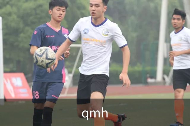 关于qmh